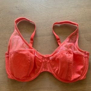 Wacoal bra 34 DD